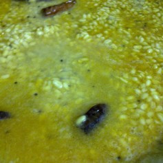 Cooking the Moong Dal