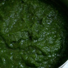 Green Chutney/Indian Pesto