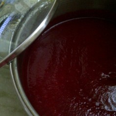 Pureed Beetroot, Carrot and Tomato for Soup