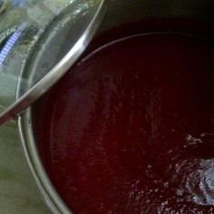 Pureed Beetroot, Carrot and Tomato for Soup