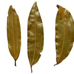 Bay Leaf to Preserve Dry Staple Foods