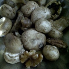 Nutty Mushroom Soup