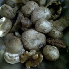 Nutty Mushroom Soup