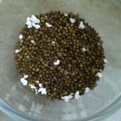 Popped Pearl Millet