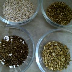 Popping Amaranth Seeds, Pearl Millet, Quinoa & Unhulled Barley