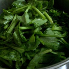 Spinach for Fat Free Pumpkin, Cabbage and Spinach Soup